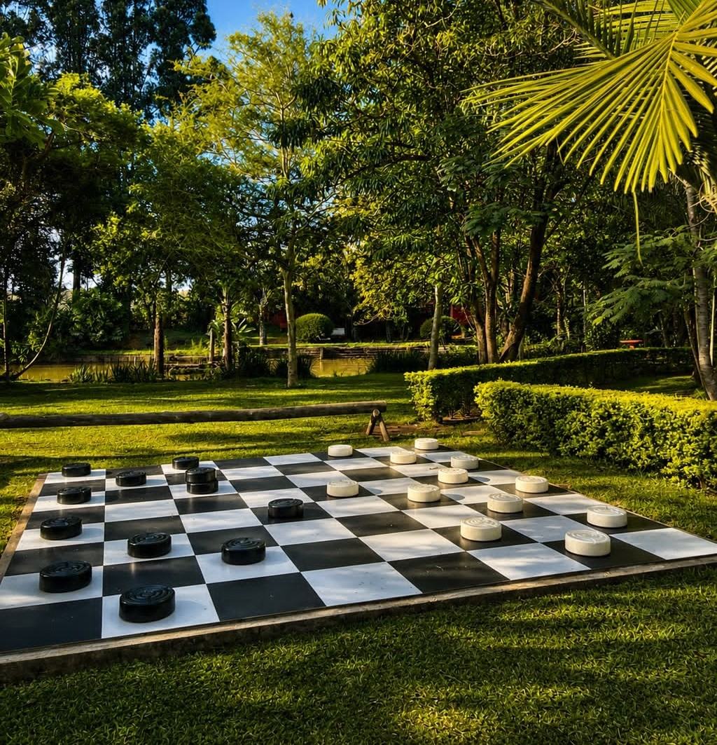 Giant lawn chess